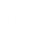 brain